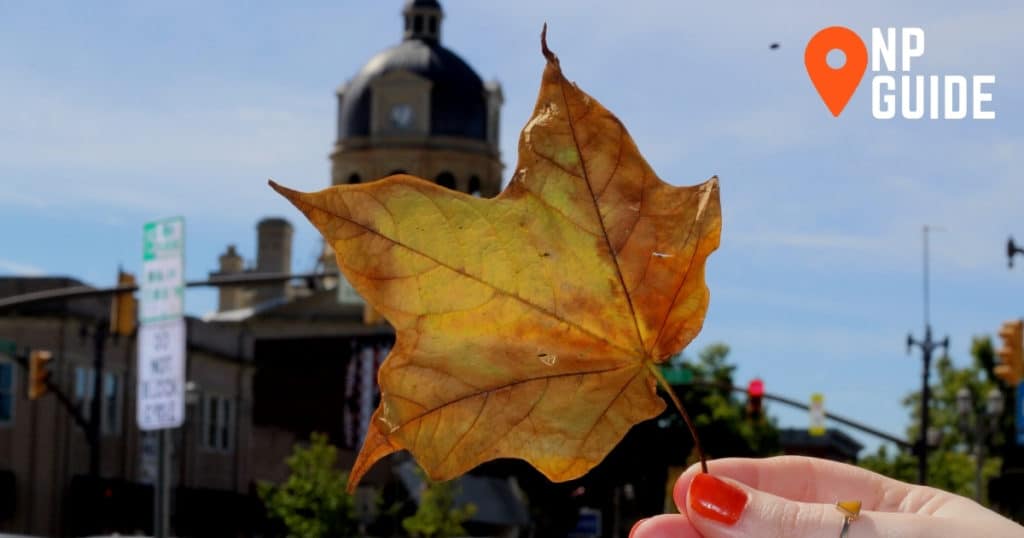 New Philadelphia, Ohio courthouse in background with yellow leaf over it held by hand